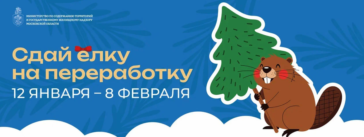 Акция «Сдай елку на переработку» пройдет после праздников