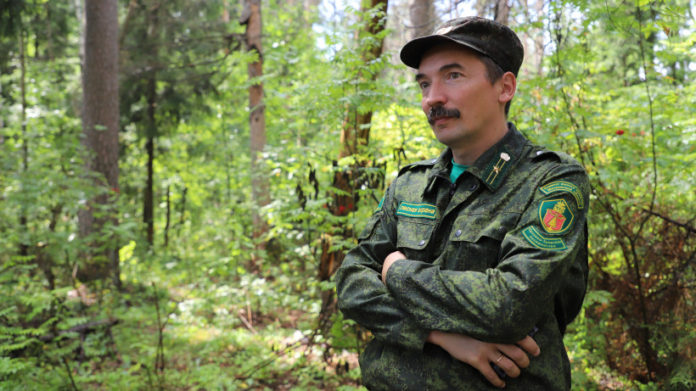 На сервисе Яндекс.Музыка подольчане могут прослушать плейлист от лесничего из Подмосковья