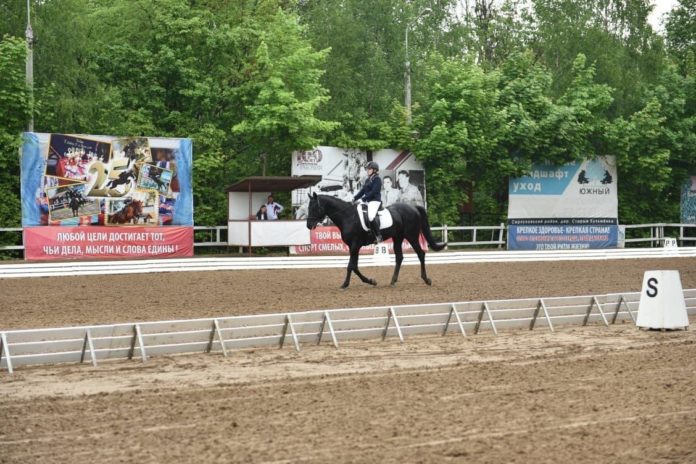 Соревнования по выездке состоялись в Конно-спортивном клубе «Фаворит» Соревнования по выездке состоялись в Конно-спортивном клубе «Фаворит»