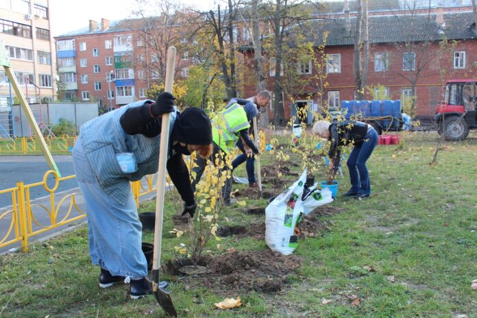 По периметру детской игровой площадки в микрорайоне Климовск высадили 20 кустарников и 10 молодых...