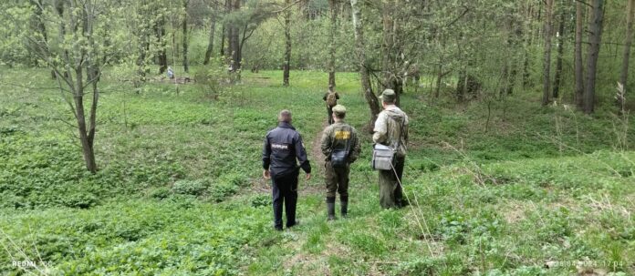 Подольские леса патрулируются в целях пожарной безопасности Подольские леса патрулируются в целях пожарной безопасности