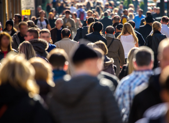 В Подмосковье проживают около 11 миллионов человек по данным прошедшей переписи населения