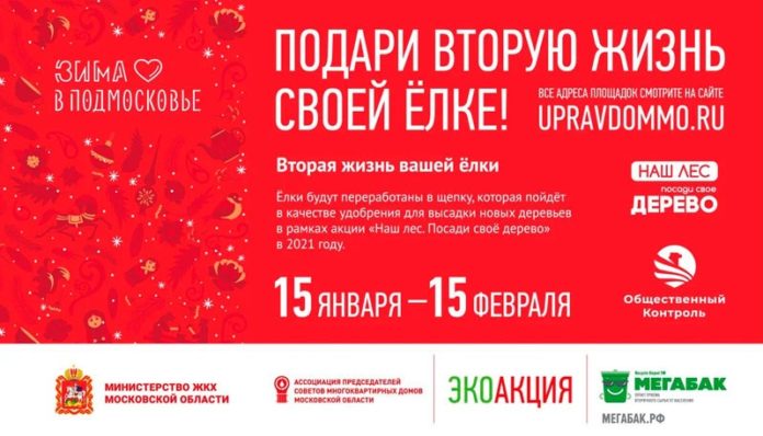 Желающие могут принять участие в экологической акции «Подари своей ёлке вторую жизнь!»