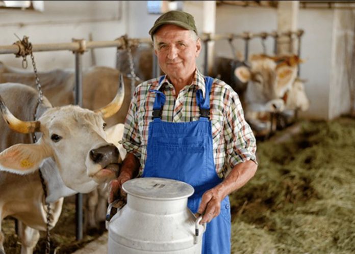 Стартовал прием заявок на предоставление грантов на развитие семейных ферм Стартовал прием заявок на предоставление грантов на развитие семейных ферм