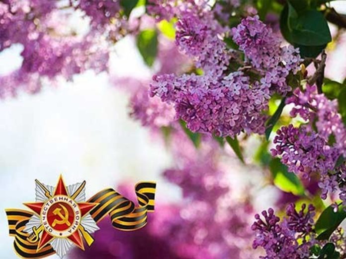 Творческие коллективы КПЦ «Дубровицы» – лучшие на конкурсе творческих инициатив «Сирень Победы» Творческие коллективы КПЦ «Дубровицы» – лучшие на конкурсе творческих инициатив «Сирень Победы»