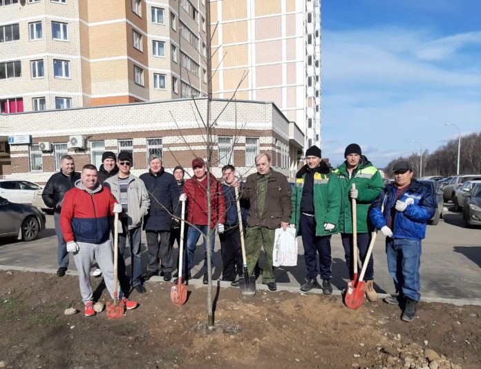 Саженцы редких дубов высадили на улице Академика Доллежаля