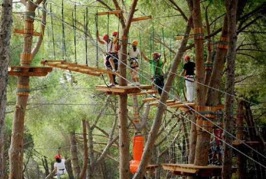 Панда-парк в Городском округе Подольск можно будет посетить летом Панда-парк в Городском округе Подольск можно будет посетить летом