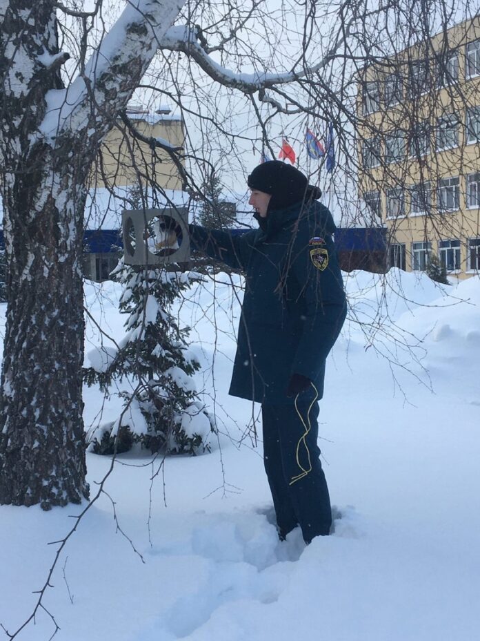 К акции «Покормите птиц зимой!» присоединились студенты колледжа “Московия” (СП Львовское) К акции «Покормите птиц зимой!» присоединились студенты колледжа “Московия” (СП Львовское)