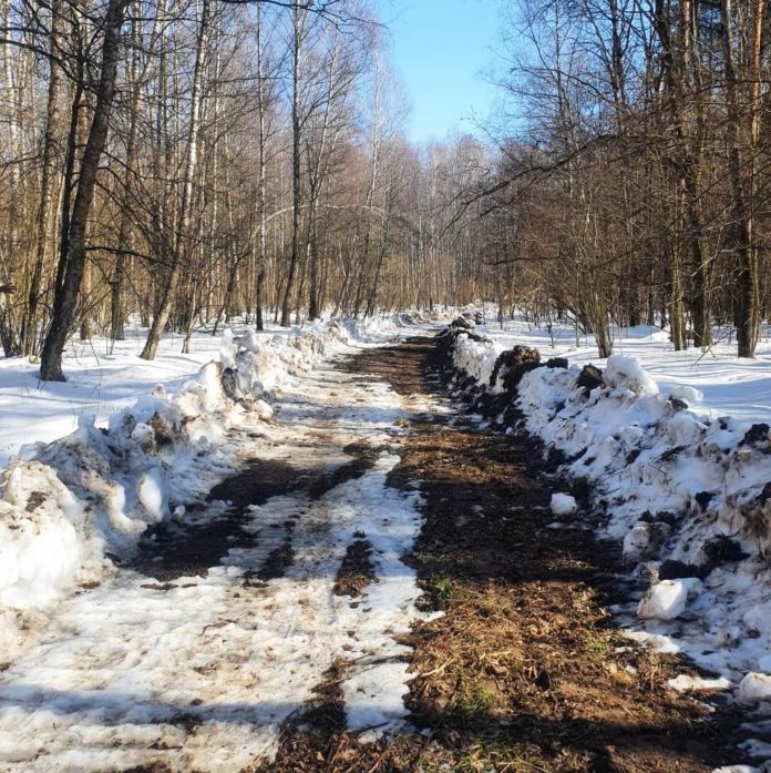 Представители подольского филиала ГКУ МО «Мособллес» проверили качество работ выполняемых на территории Пушкинского участкового...