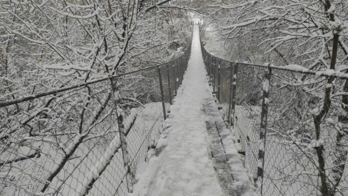 ГУСТ контролирует ликвидацию последствий снегопада во дворах и на общественных территориях