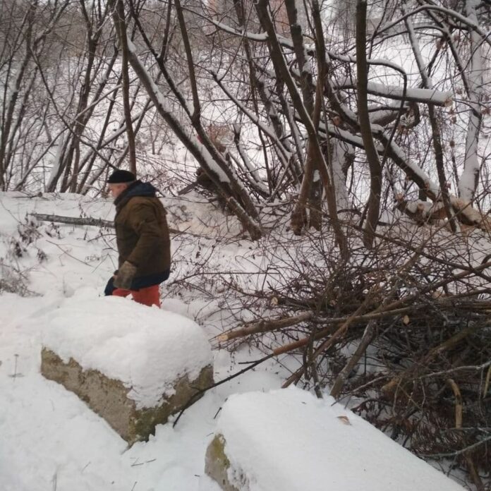 В парке Талалихина проходят работы очистке береговой линии от сухостоя и аварийных деревьев