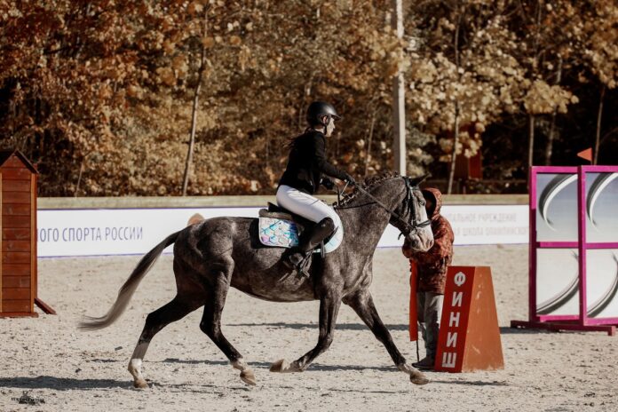 В КСК “Фаворит” прошли муниципальные соревнования В КСК “Фаворит” прошли муниципальные соревнования