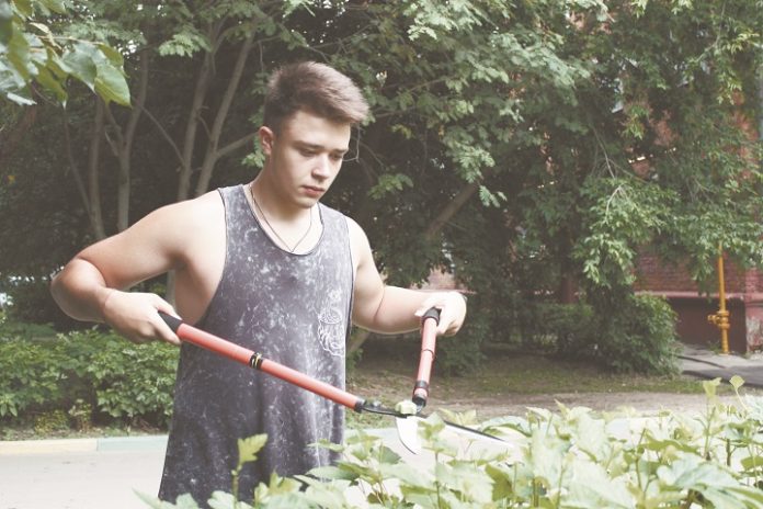 «Максимум» трудолюбия «Максимум» трудолюбия