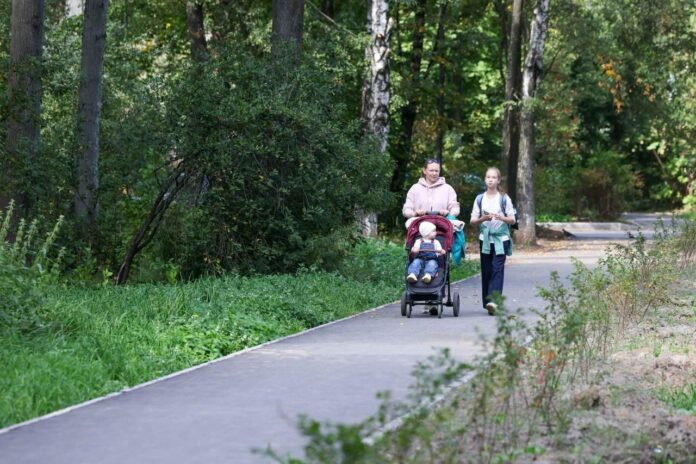 Порядка 1,5 километра новых дорожек появилось этим летом в Подольске 
