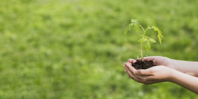 Желающих приглашают принять участие в эко-марафоне «Сдай макулатуру — спаси дерево!» Желающих приглашают принять участие в эко-марафоне «Сдай макулатуру — спаси дерево!»