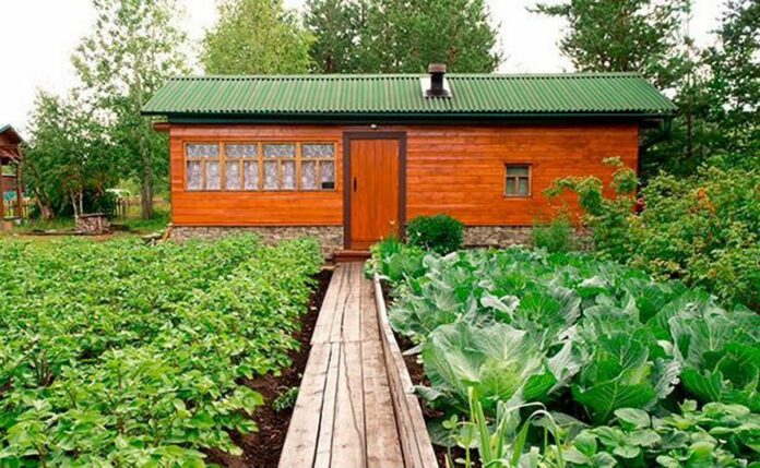 В Подмосковье работает call-центр по консультированию граждан о процедурах «дачной амнистии» В Подмосковье работает call-центр по консультированию граждан о процедурах «дачной амнистии»