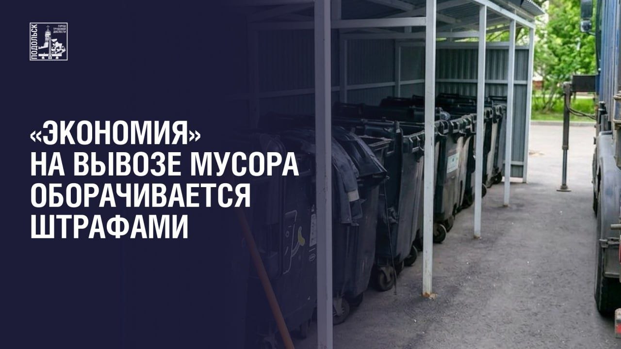 Экономия на вывозе мусора оборачивается штрафами: почему нельзя доверять дешевым перевозчикам