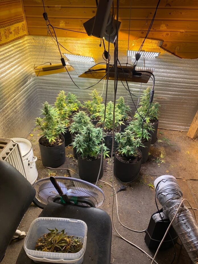 Подмосковные полицейские в г.о. Подольск изъяли более 650 граммов наркотиков Подмосковные полицейские в г.о. Подольск изъяли более 650 граммов наркотиков