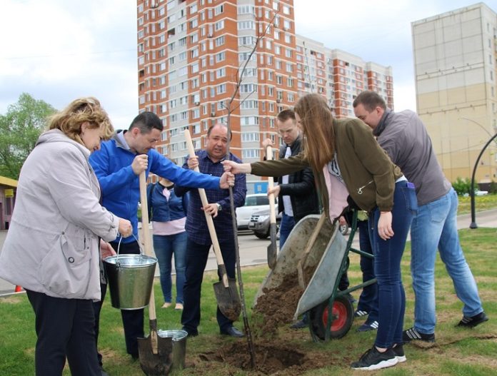 По улице 50 лет ВЛКСМ высадили клены и липы в рамках акции «Лес Победы» По улице 50 лет ВЛКСМ высадили клены и липы в рамках акции «Лес Победы»