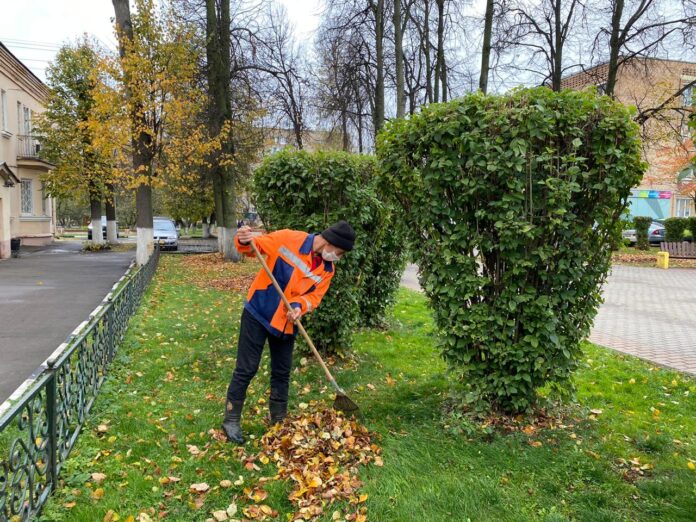 В Городском округе Подольск продолжаются работы по уборке и благоустройству территорий к предстоящей зиме В Городском округе Подольск продолжаются работы по уборке и благоустройству территорий к предстоящей зиме