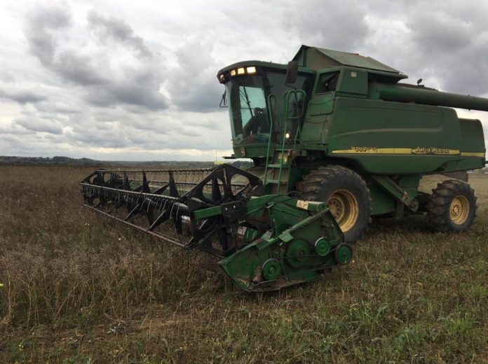 386 тонн зерна собрали в Подольске в ходе уборочной компании 2019