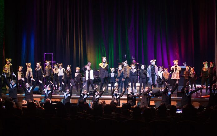 Состоялась премьера музыкального спектакля «Брысь» в Подольске