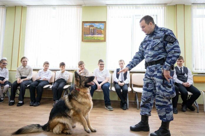 Кинологи и их четвероногие помощники приехали в гости в школу № 16 к обучающимся... Кинологи и их четвероногие помощники приехали в гости в школу № 16 к обучающимся...