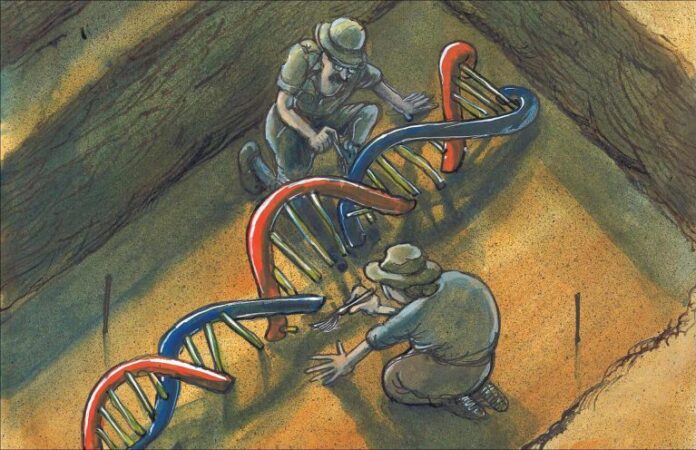 Работники ФГБНУ ФНЦ ВИЖ им. Л.К. Эрнста и Института археологии РАН обсудили направления и...