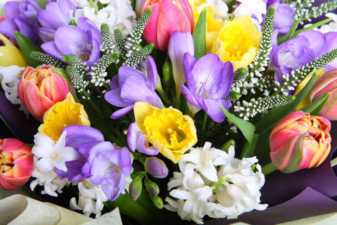 Концерт «Весна в душе» состоится в КДЦ «Южный» 7 марта