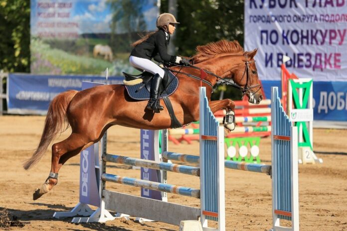 В выходные дни в КСК «Фаворит» состоится традиционный турнир по выездке и конкуру на...