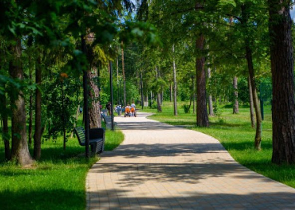 Продолжается сбор предложений по определению «зеленых зон» в городах Подмосковья для их защиты на... Продолжается сбор предложений по определению «зеленых зон» в городах Подмосковья для их защиты на...