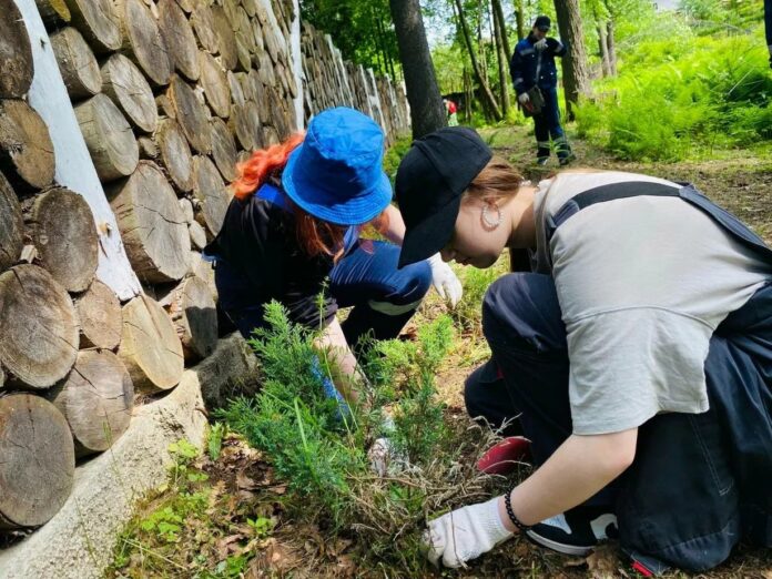 Порядка 40 рабочих мест доступно для летнего трудоустройства подростков в Подольске  Порядка 40 рабочих мест доступно для летнего трудоустройства подростков в Подольске