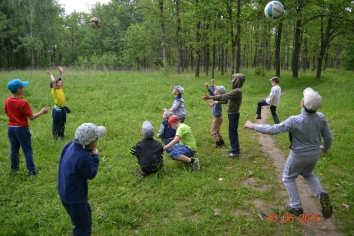 В Подольске откроется лагерь дневного пребывания для детей от 6 лет летом на базе...