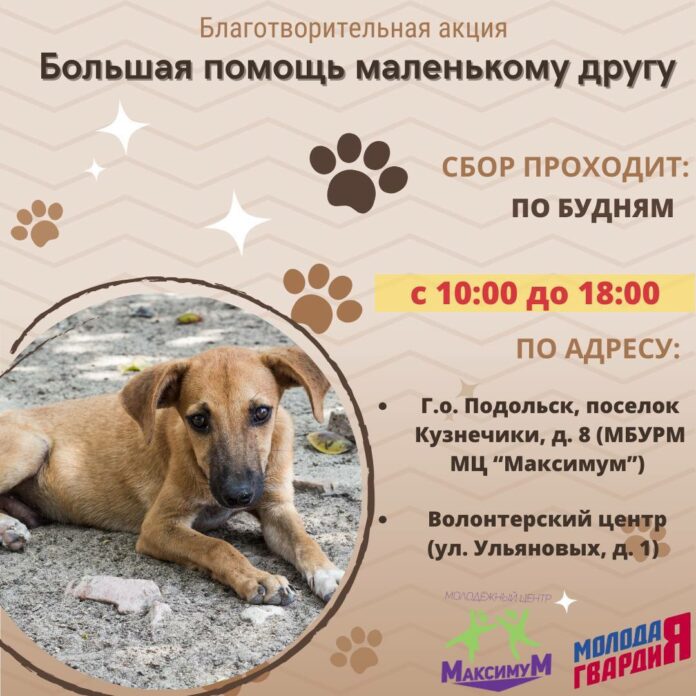 Сбор помощи животным из приютов Сбор помощи животным из приютов