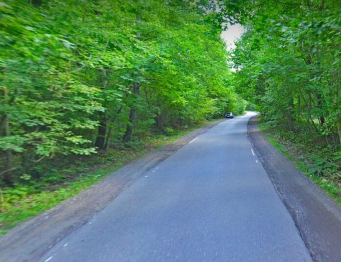 Ремонт и расширение дороги «Дубровицы – Луковня» запланированы на этот год Ремонт и расширение дороги «Дубровицы – Луковня» запланированы на этот год