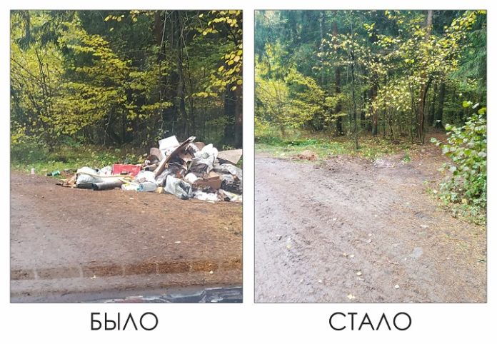 Сотрудники теротдела “Дубровицкий” продолжают ликвидировать навалы мусора