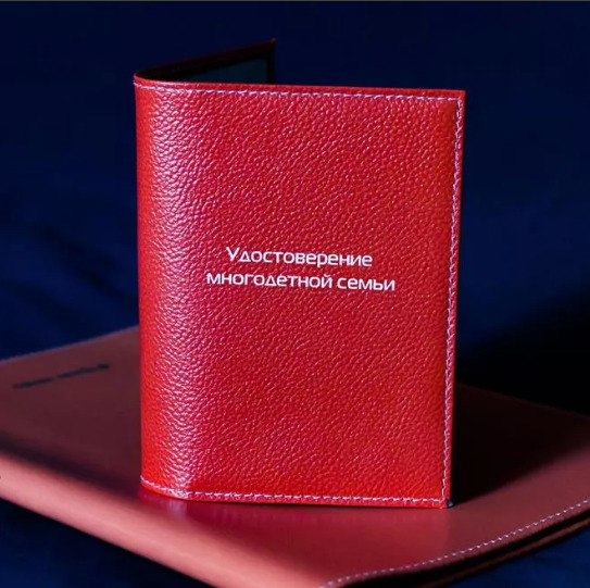 Упрощено получение социальной поддержки для многодетных семей Упрощено получение социальной поддержки для многодетных семей