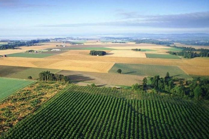 Комитет имущественных и земельных отношений администрации сообщает