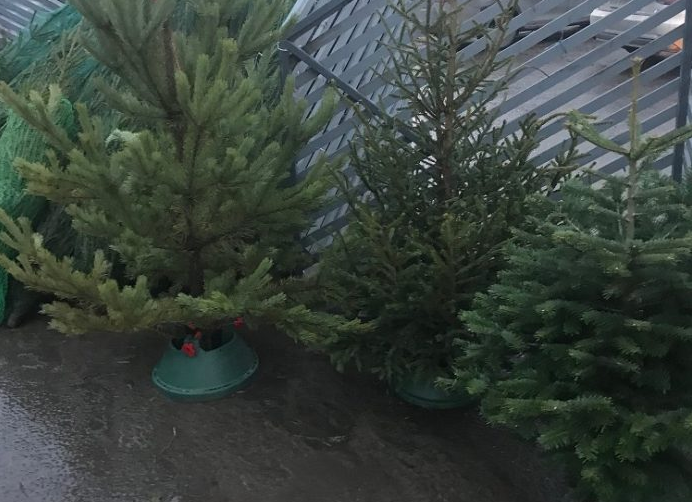 Работа ёлочных базаров  в Городском округе Подольск под контролем