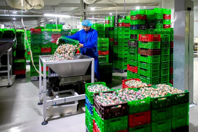 Предприятие «Би-энд-Би (B&B)» отметило 90-летие производственной деятельности Предприятие «Би-энд-Би (B&B)» отметило 90-летие производственной деятельности