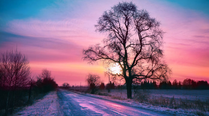 Конкурс любительской фотографии #ВОбъективеЗима начался в Подольске 11 декабря Конкурс любительской фотографии #ВОбъективеЗима начался в Подольске 11 декабря