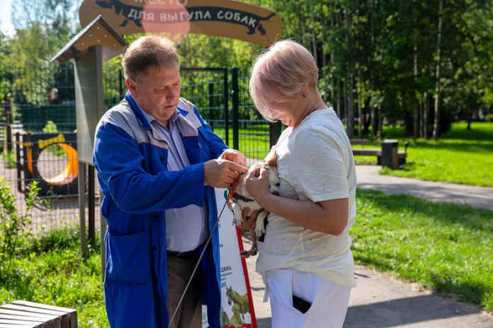 Передвижной ветпункт будет работать в Подольске 8 сентября
