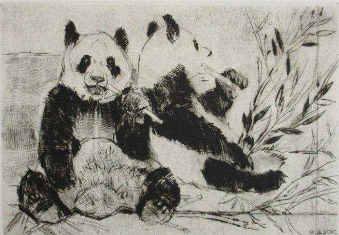 Животный мир Азии в графике Животный мир Азии в графике