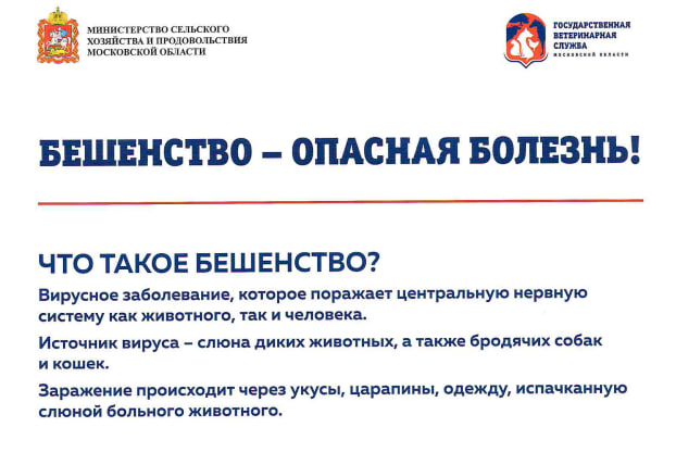 В Подольске до конца мая проводится месячник по профилактике бешенства среди животных В Подольске до конца мая проводится месячник по профилактике бешенства среди животных
