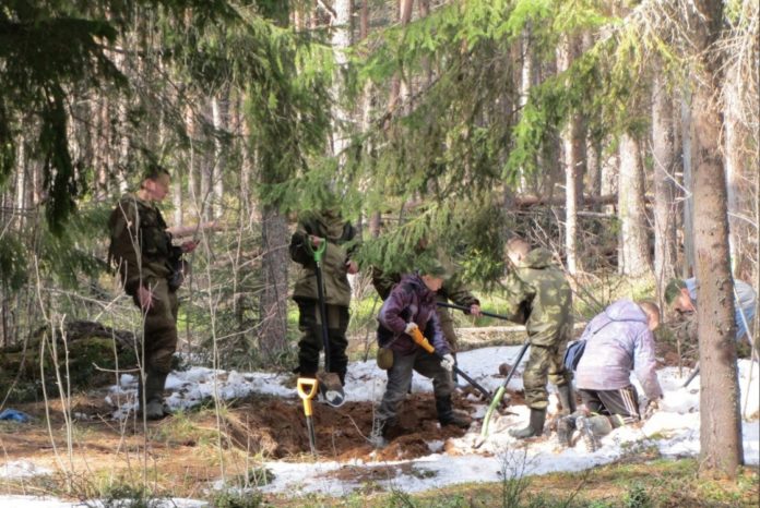 Новый реестр поисковых объединений Новый реестр поисковых объединений