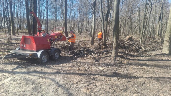 В Подольске реконструируют лесопарк «Березки» В Подольске реконструируют лесопарк «Березки»
