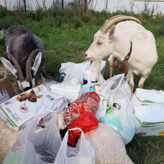 Благотворительная акция «Доброе дело» в Подольске