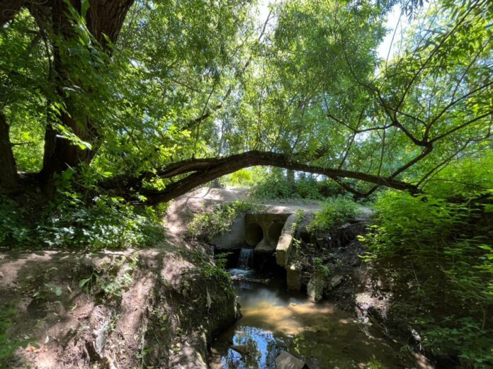 Информация для Подольчан Информация для Подольчан