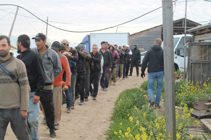 В Подольске сотрудниками полиции пресечено нарушение миграционного законодательства В Подольске сотрудниками полиции пресечено нарушение миграционного законодательства