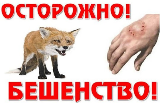 Подольский территориальный отдел Управления Роспотребнадзора по Московской области предупреждает Подольский территориальный отдел Управления Роспотребнадзора по Московской области предупреждает